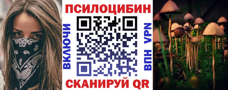 купить   блэк спрут ссылка  Галлюциногенные грибы ЛСД  Николаевск-на-Амуре 